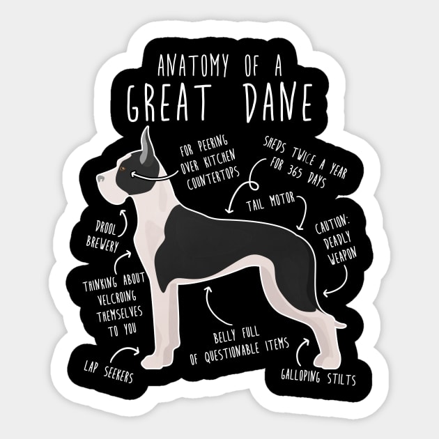 Cropped Mantle Great Dane Dog Anatomy Sticker by Psitta